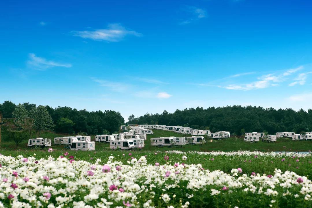 1560136280639450iWQd.jpg 微信图片_20190610105700.jpg