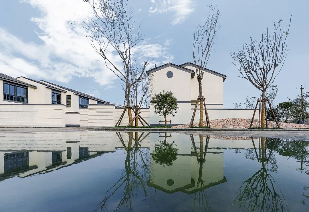 1647177135689299fIVr.jpg 8.jpg